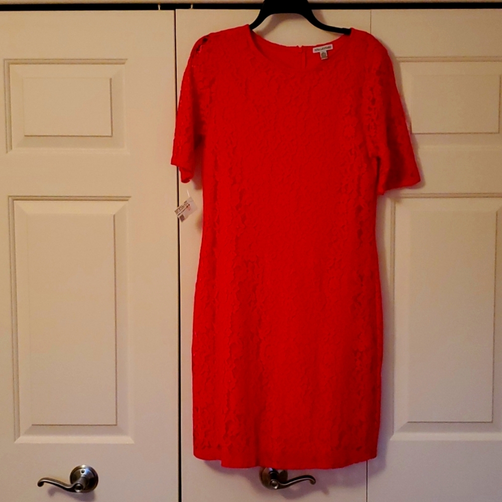 Beautiful Nina leonard lace dress